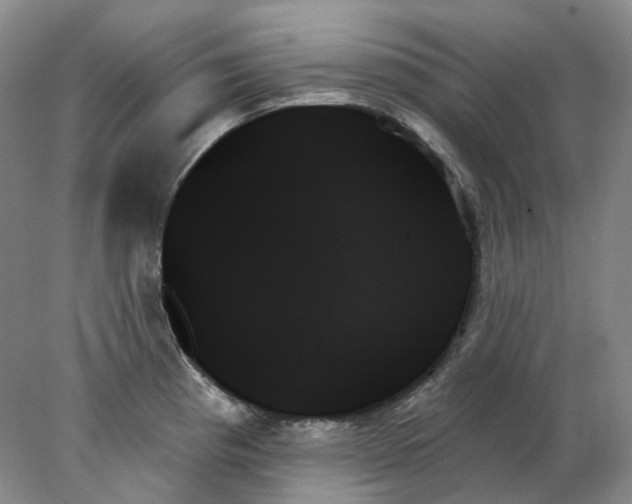 X0000078271193200611172022