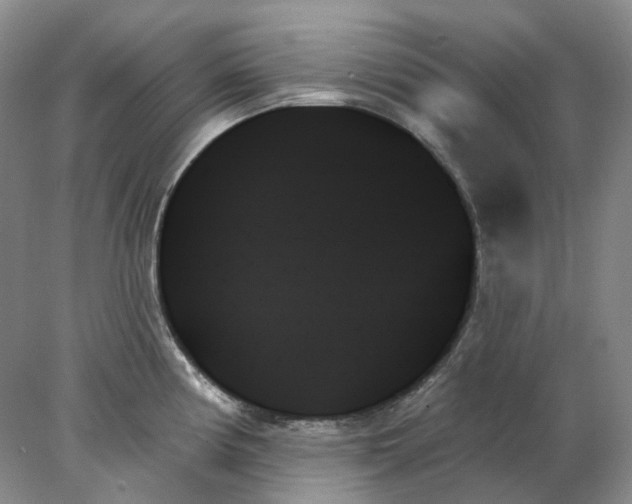 X0000078271194200611172022