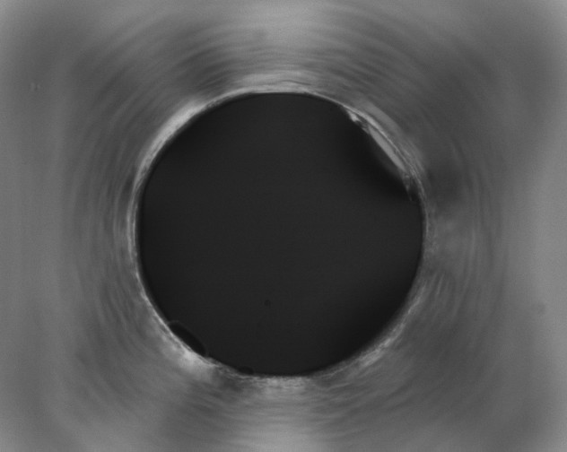 X0000078271196200611172022