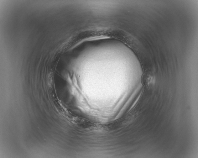 X0000078271204200611172022