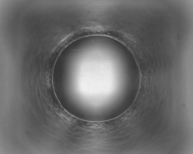 X0000078271205200611172022