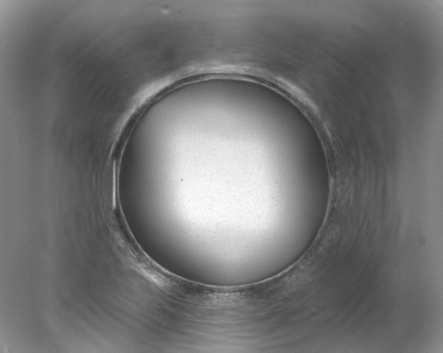 X0000078271223200611172022