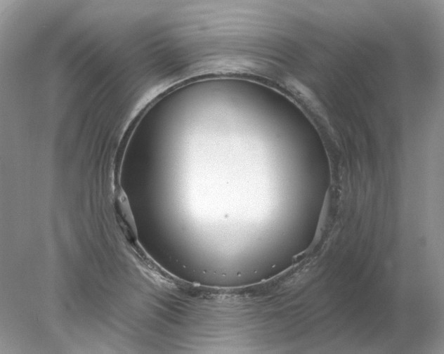 X0000078271226200611172022