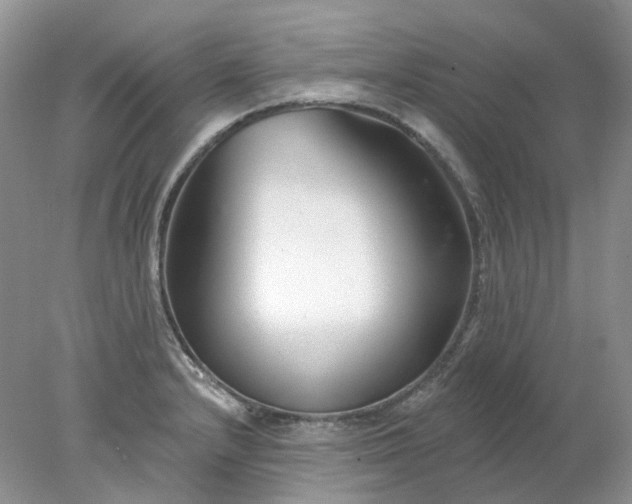 X0000078271232200611172022
