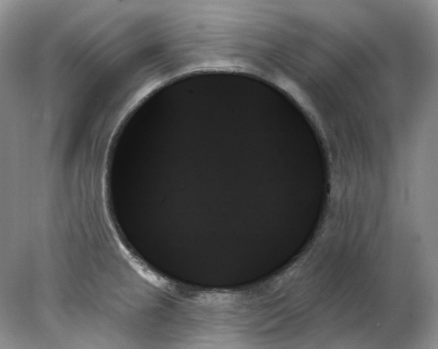 X0000078271237200611172022
