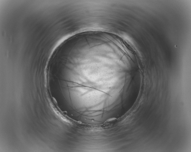 X0000078271238200611172022