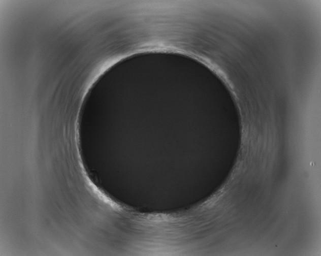 X0000078271239200611172022