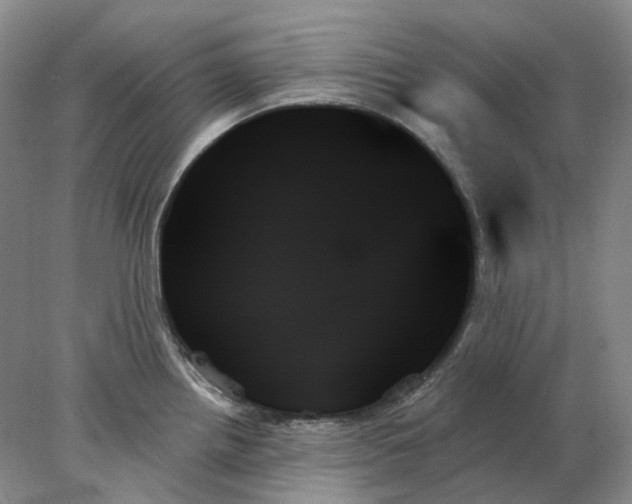 X0000078271242200611172022