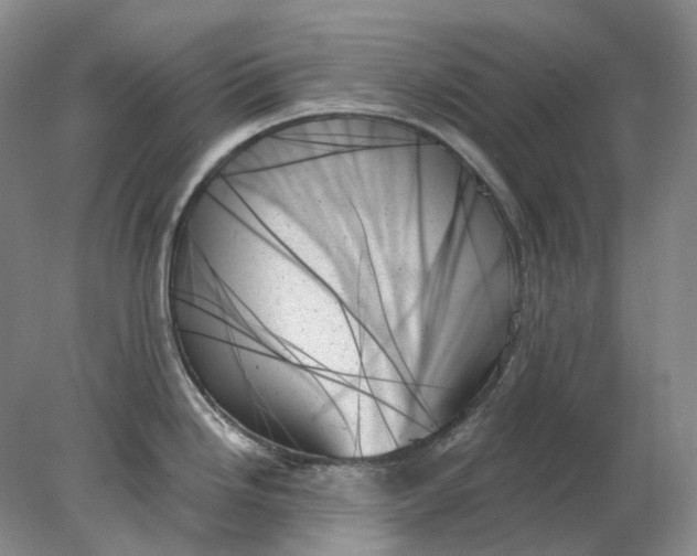X0000078271246200611172022