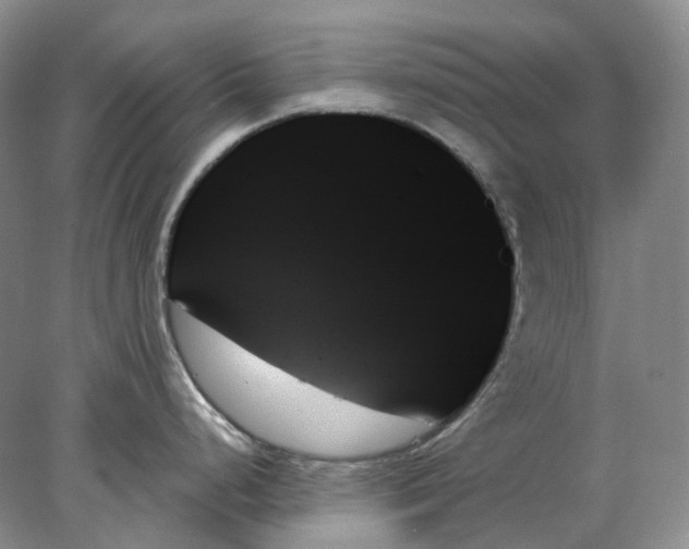 X0000078271248200611172022