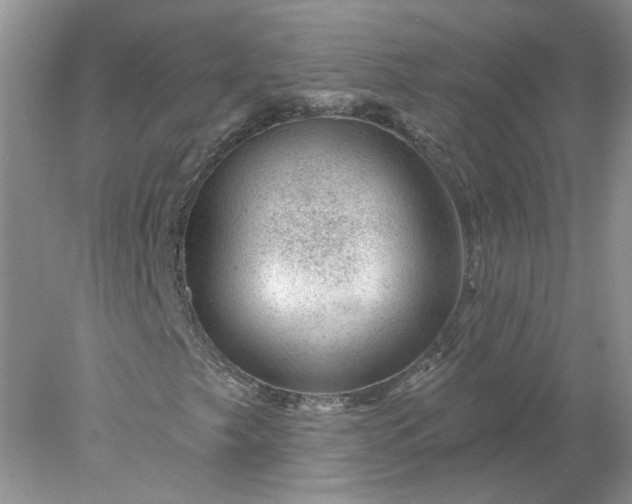 X0000078271249200611172022
