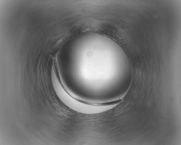X0000078271250200611172022