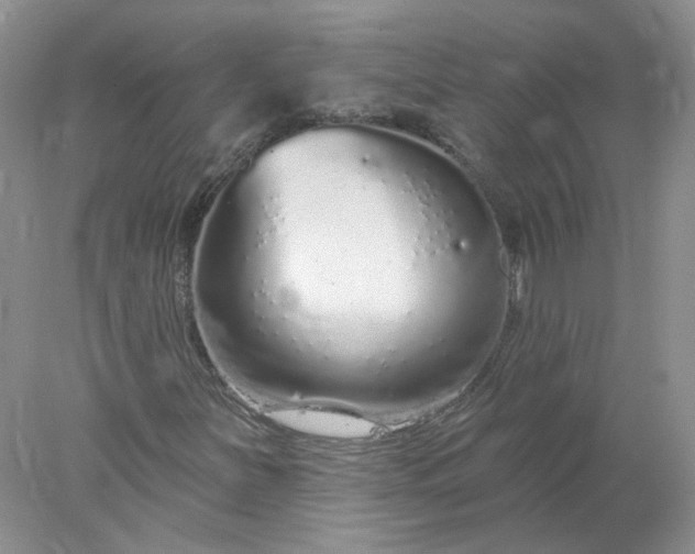 X0000078271251200611172021