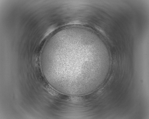 X0000078271258200611172021