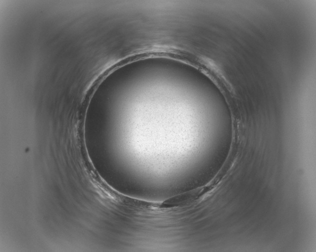 X0000078271260200611172021
