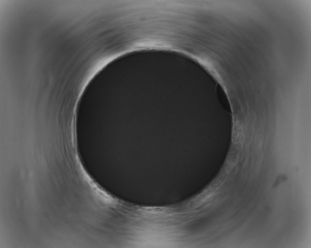X0000078271295200611172021