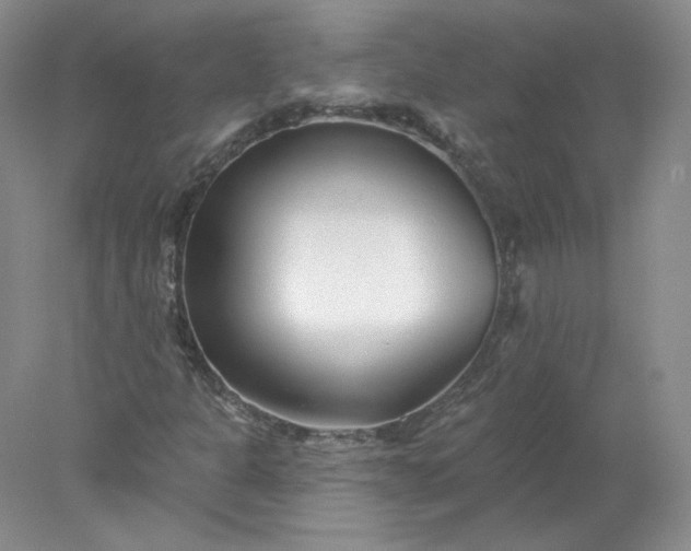 X0000078271301200611172020