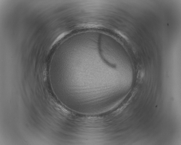 X0000078271306200611172020