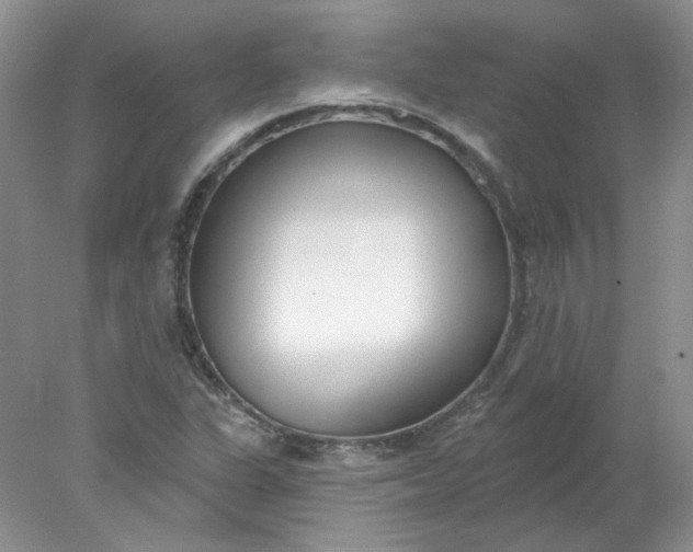 X0000078271311200611172020