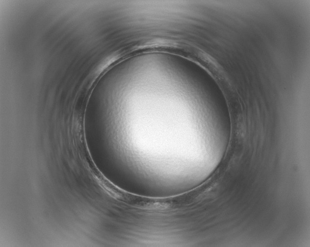 X0000078271321200611172020