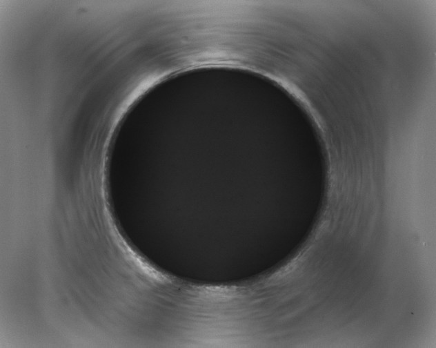 X0000078271333200611172021