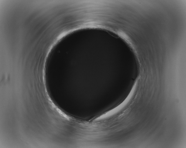 X0000078271334200611172021