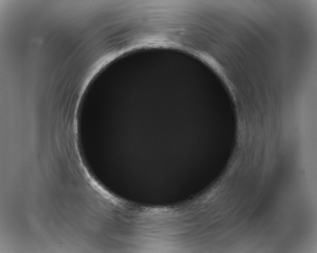 X0000078271335200611172021