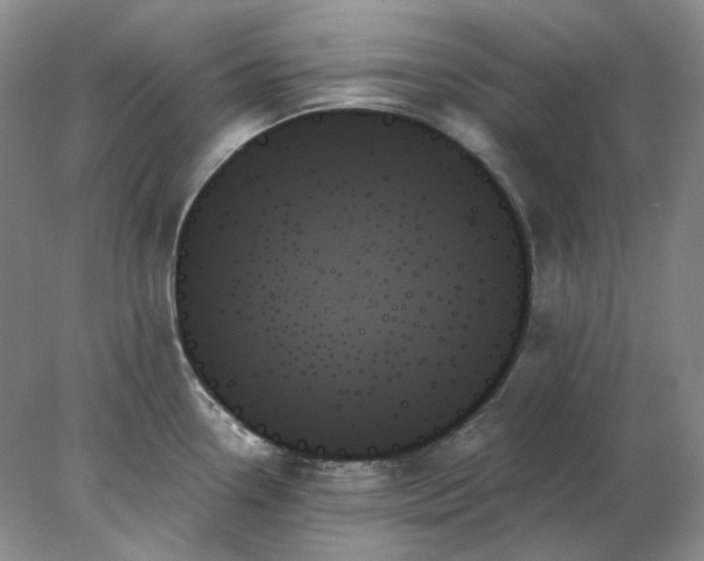 X0000078271338200611172021