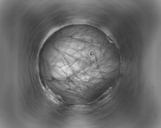 X0000078271342200611172021