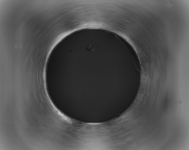 X0000078271343200611172021