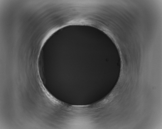 X0000078271344200611172021