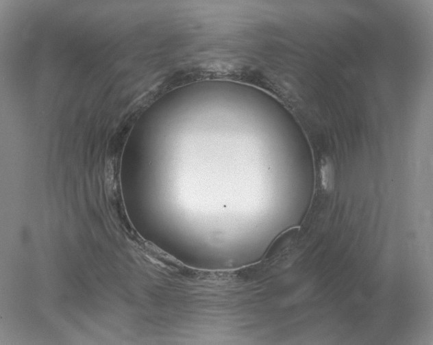 X0000078271347200611172020