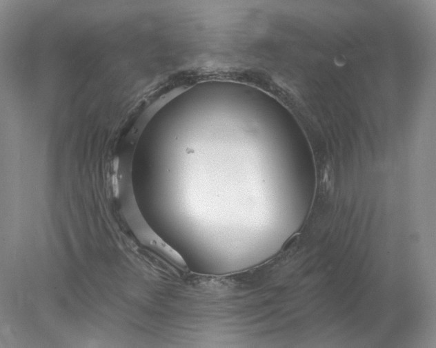 X0000078271348200611172020