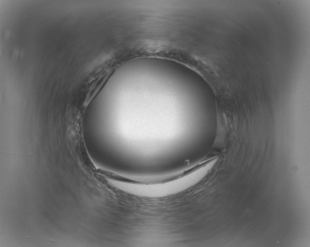 X0000078271349200611172020
