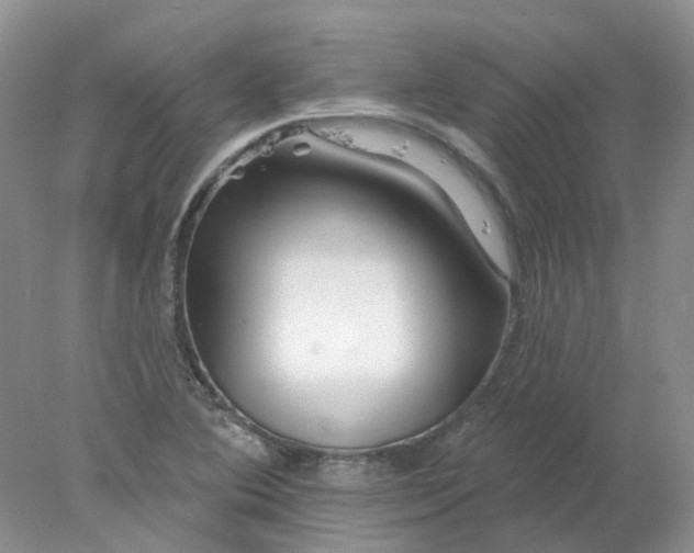 X0000078271364200611172020