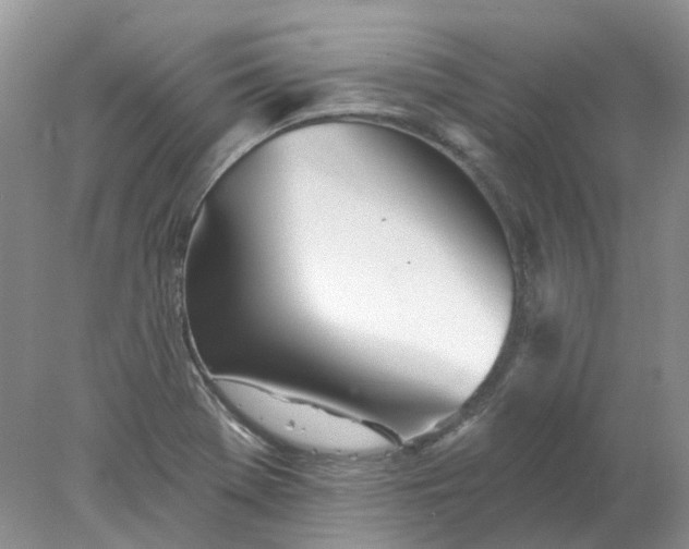 X0000078271369200611172019