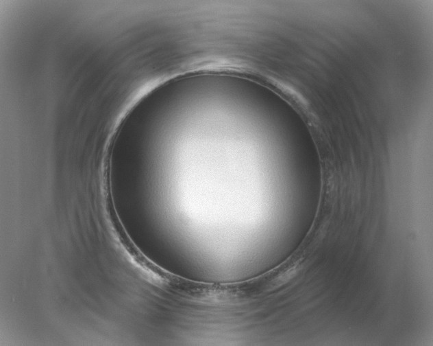 X0000078271375200611172019