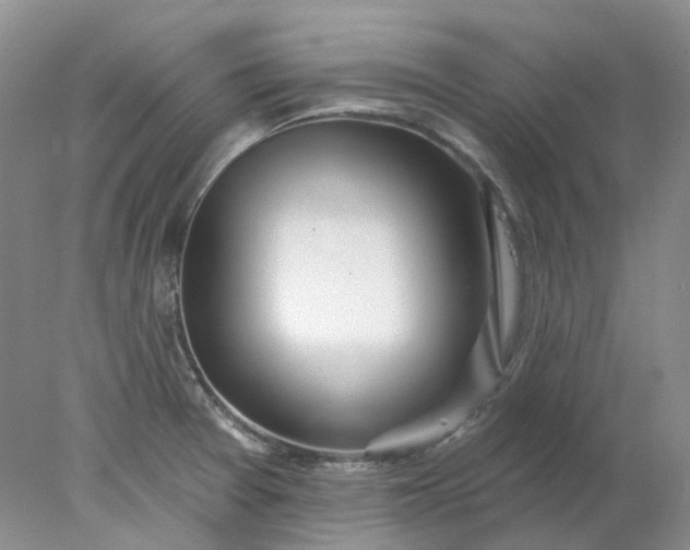 X0000078271377200611172019