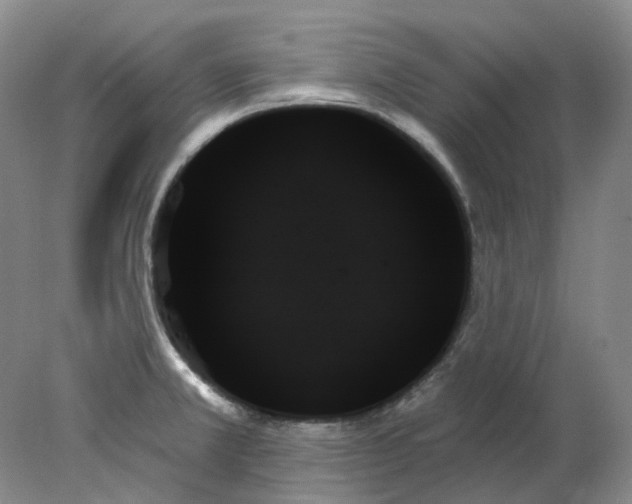 X0000078271381200611172019