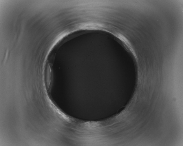 X0000078271384200611172019