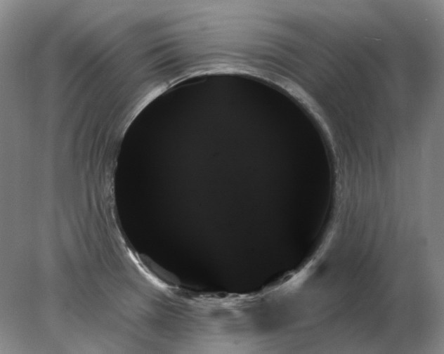 X0000078271385200611172019