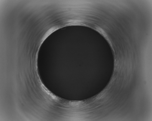 X0000078271386200611172019