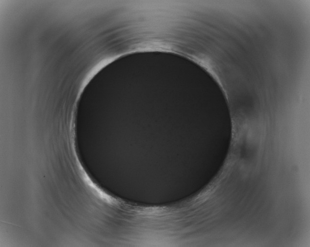X0000078271387200611172019