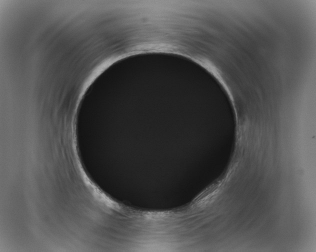 X0000078271389200611172019