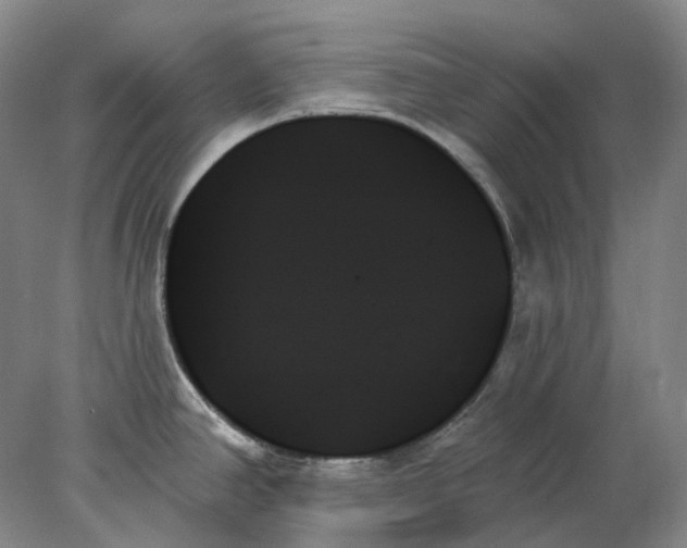 X0000078271390200611172019