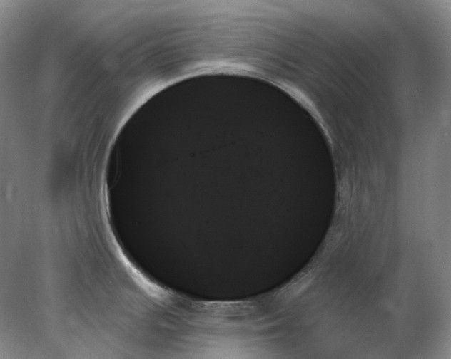 X0000078271391200611172019