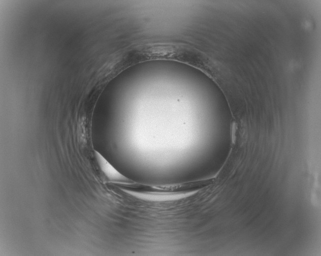 X0000078271394200611172018