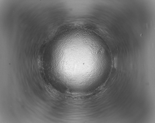 X0000078271395200611172018