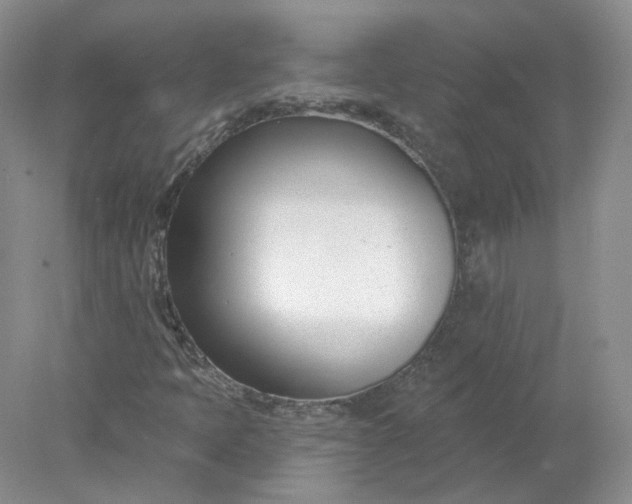 X0000078271397200611172018