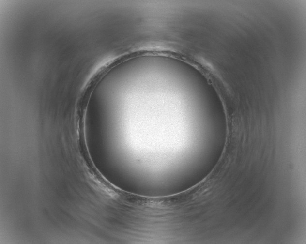 X0000078271408200611172019